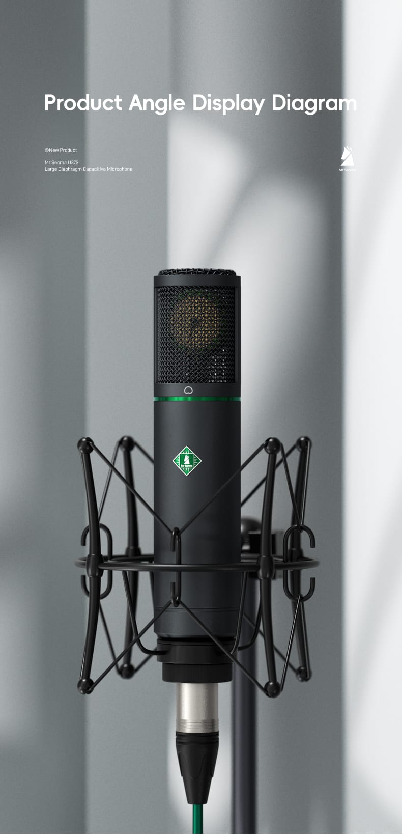 f22S-large-diaphragm-condenser-microphones_05