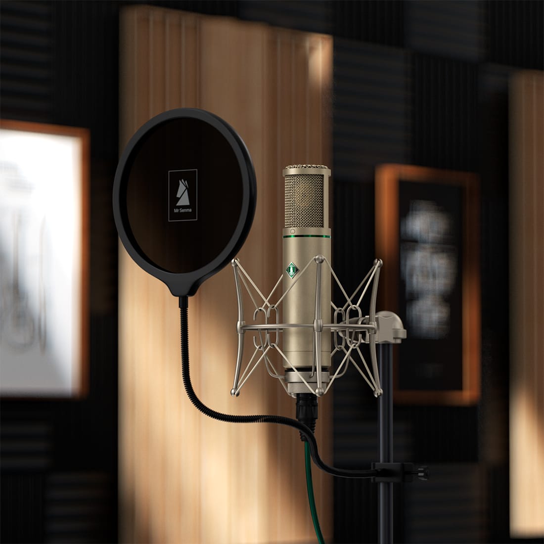 F22S-Large-Diaphragm-Condenser-Microphone-Golden-Studio-Usage-Diagram